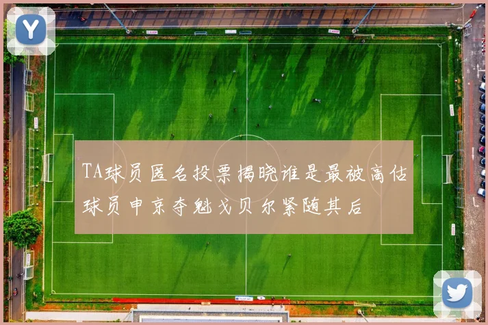 TA球员匿名投票揭晓谁是最被高估球员申京夺魁戈贝尔紧随其后