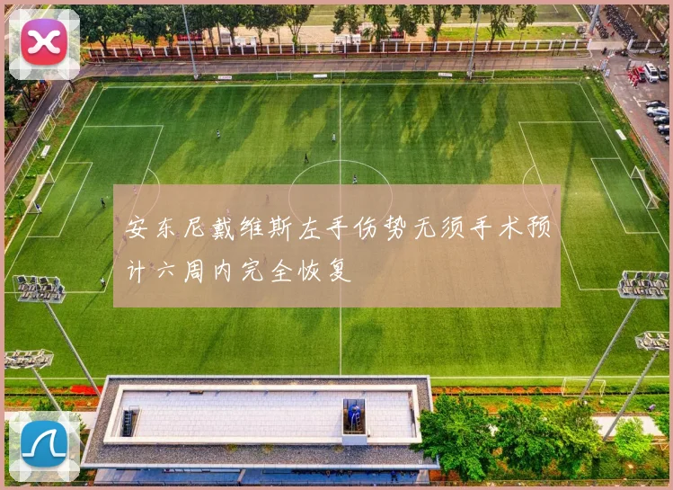 安东尼戴维斯左手伤势无须手术预计六周内完全恢复