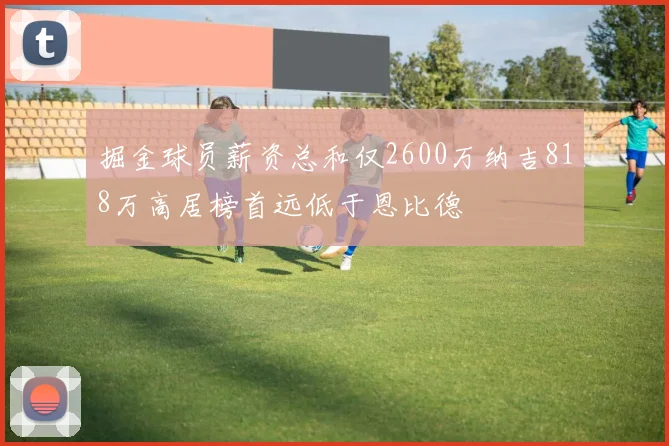 掘金球员薪资总和仅2600万纳吉818万高居榜首远低于恩比德