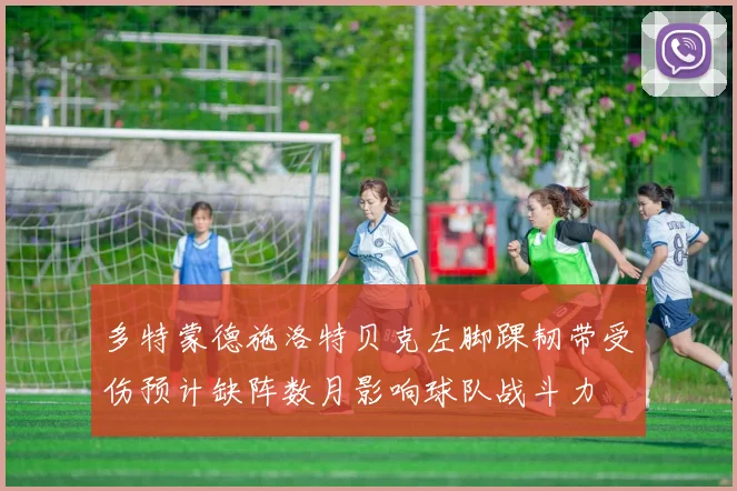 多特蒙德施洛特贝克左脚踝韧带受伤预计缺阵数月影响球队战斗力